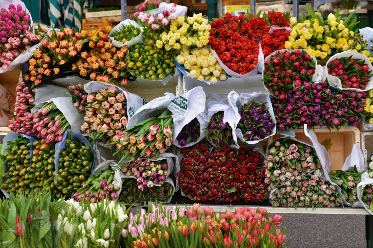 A Group Of Flowers In A Market