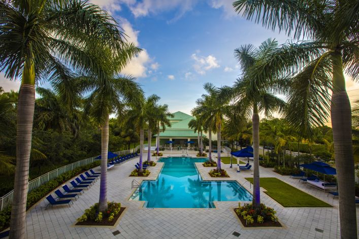A Pool Next To A Palm Tree