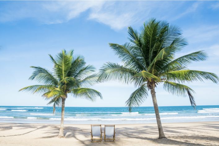 A Sandy Beach Next To A Palm Tree